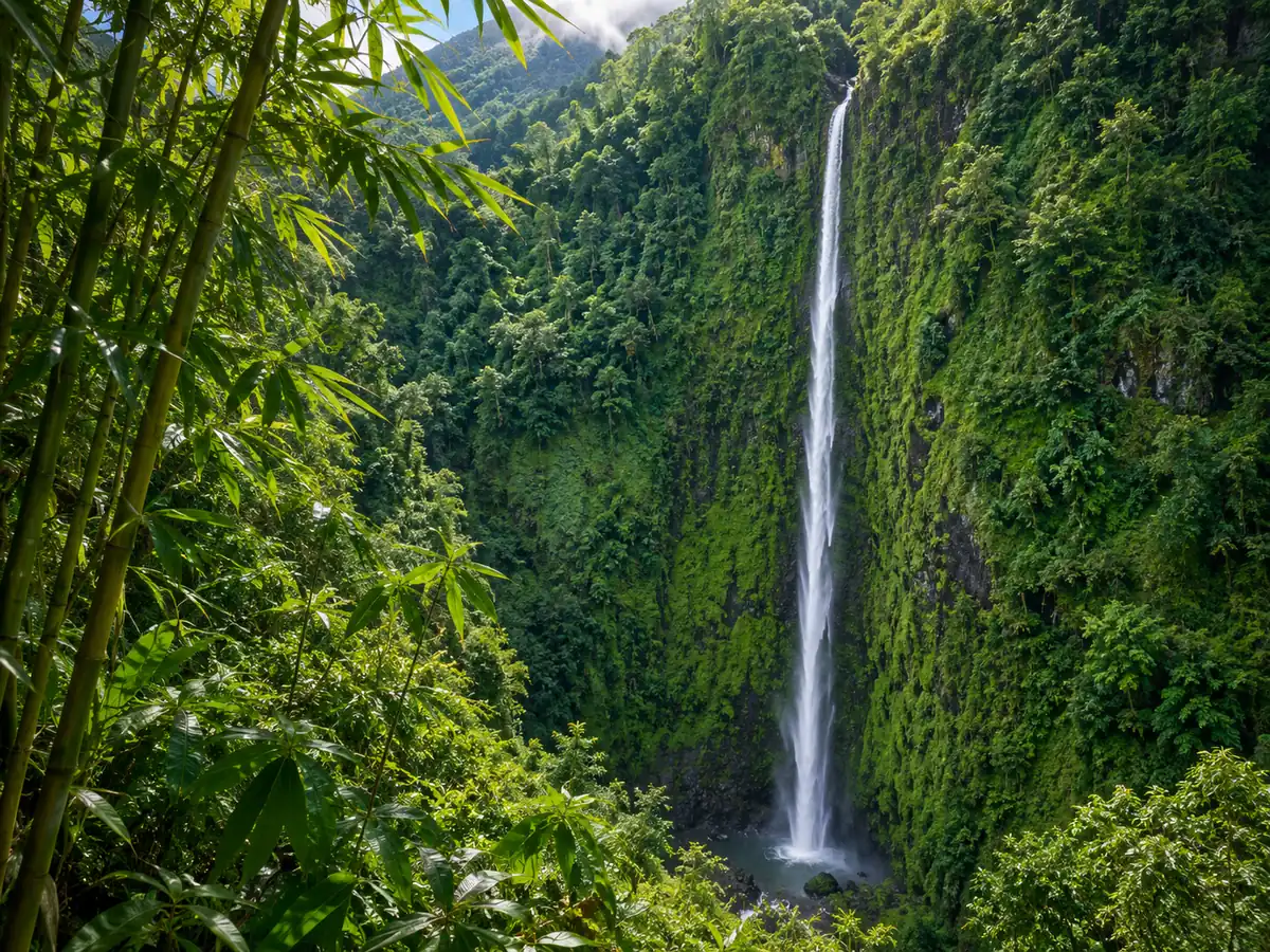 A tall waterfall dropping down a green cliff