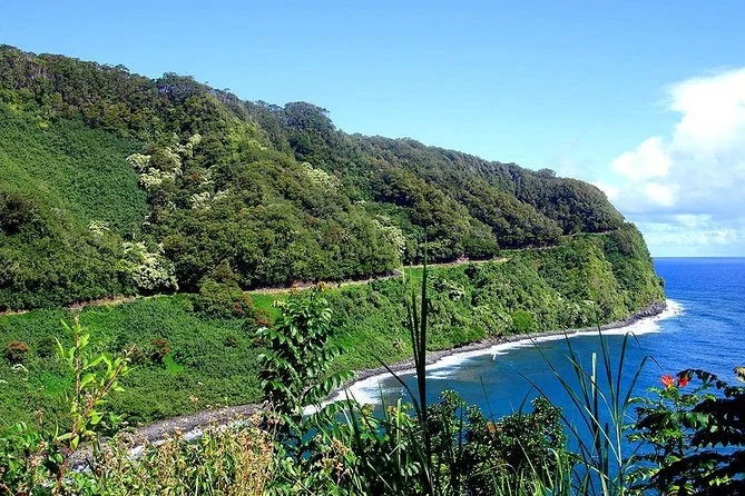 The road curving along a green cliff above the sea