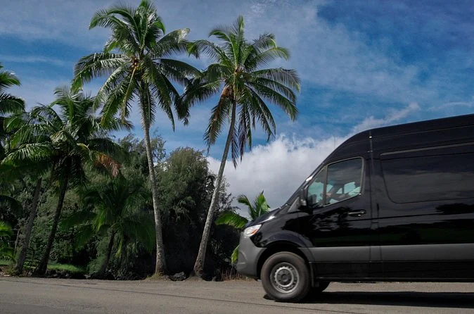 A black tour van parked under palm trees
